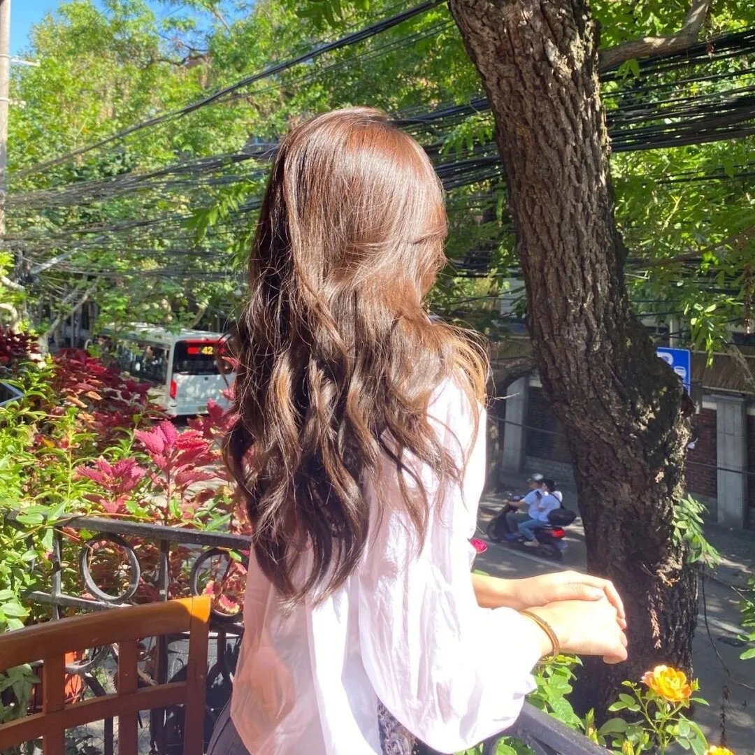 我的新野蛮女友