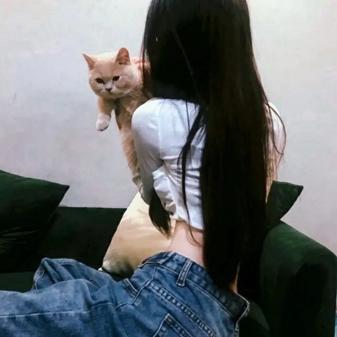 金牌红娘第二部