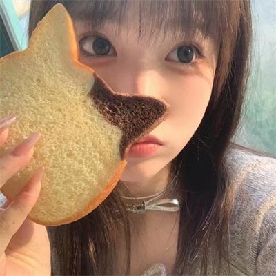 妙探机灵狗